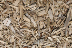 biomass boilers Kirkbampton
